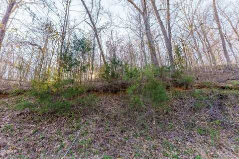 34 ac Douglas Dam Road, Kodak, TN 37764