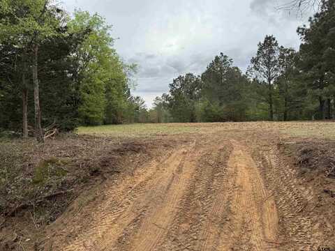 TBD CR 2147, Troup, TX 75789