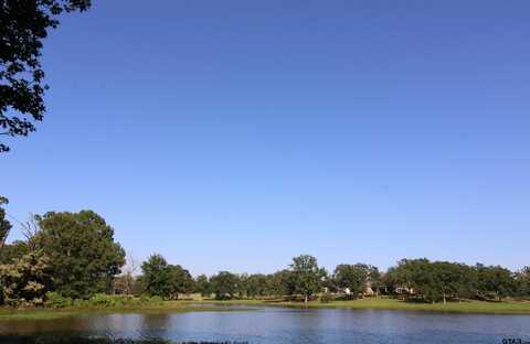 14484 Garden Valley Dr, Lindale, TX 75771