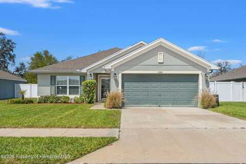 16302 Vine Cliff Avenue, Hudson, FL 34667