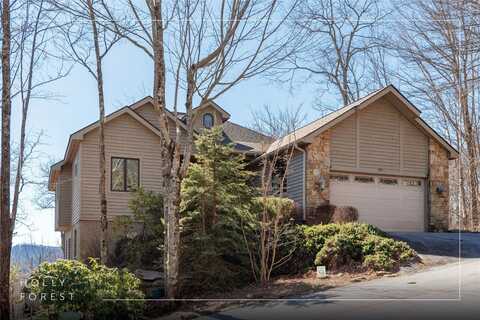 193 Birdnest Road, Sapphire, NC 28774