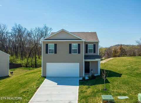 9315 River Cane Rd, Mascot, TN 37806