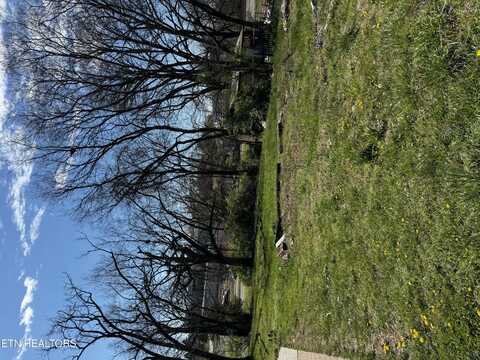3114 Browning Ave, Knoxville, TN 37921