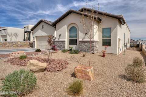 4241 Arcadia Point, Las Cruces, NM 88011