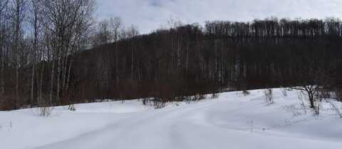 Morgan Hollow Road, Franklinville, NY 14737
