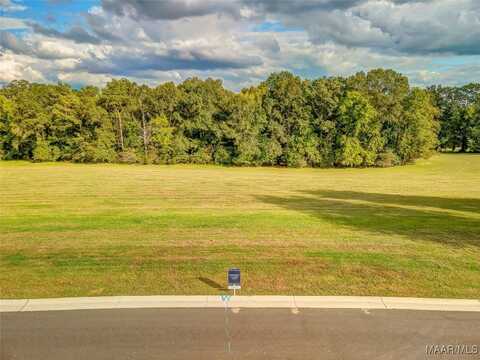 Hidden Oaks Avenue lot: 14, Pike Road, AL 36064