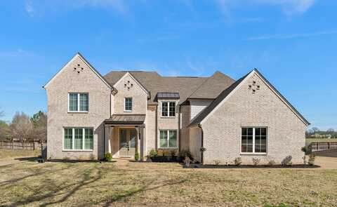 11120 SHELBY POST, Collierville, TN 38017