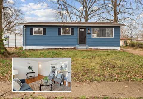 289 Elmdale Drive, Saint Louis, MO 63135