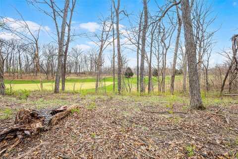 118 Summer Grace Lane, Saint Charles, MO 63304