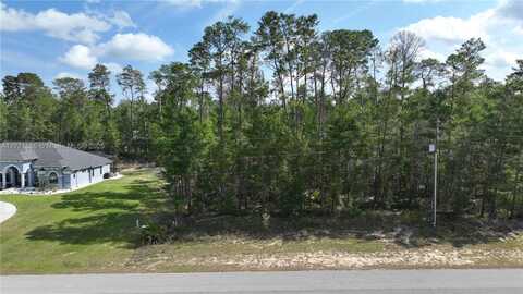 42 VILLAGE CENTER DR, Homosassa Springs, FL 34446