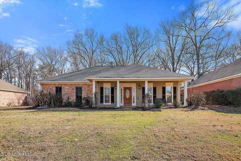 259 Mallard Drive, Brandon, MS 39047