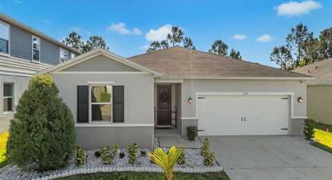 1153 AUGUSTUS DRIVE, DAVENPORT, FL 33896