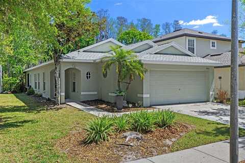 7816 CITRUS BLOSSOM DRIVE, LAND O LAKES, FL 34637