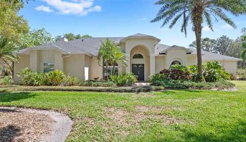 2140 LILYPAD LANE, WINDERMERE, FL 34786