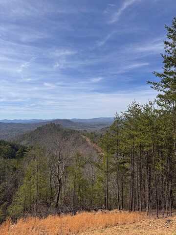 Lt 35 Crested Eagle, MURPHY, NC 28906