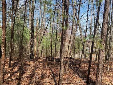 0 Birds Eye View, MURPHY, NC 28906