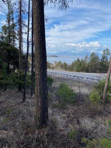 100 Tamarack Woods Drive, Lakeside, MT 59922