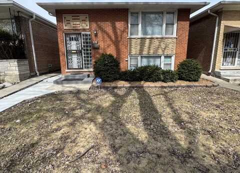 1228 E 87th Place, Chicago, IL 60619