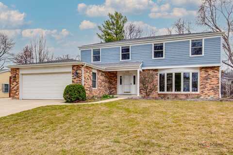 1132 Dawes Street, Libertyville, IL 60048