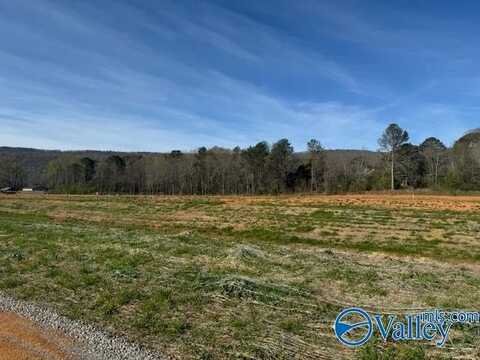 10 Acres Knotty Walls Road, Owens Cross Roads, AL 35763