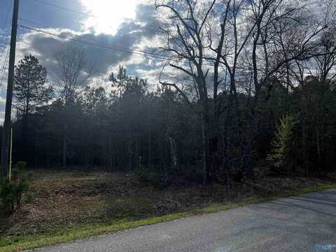 6.14 Charada Lake Road, Rainbow City, AL 35906