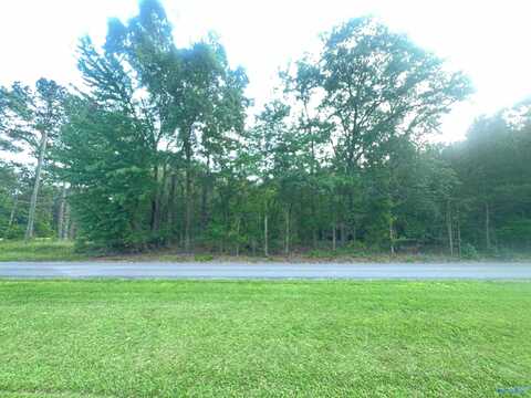 6.14 Charada Lake Road, Rainbow City, AL 35906