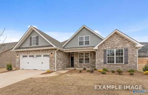 217 Kendall Farms Boulevard, Toney, AL 35773