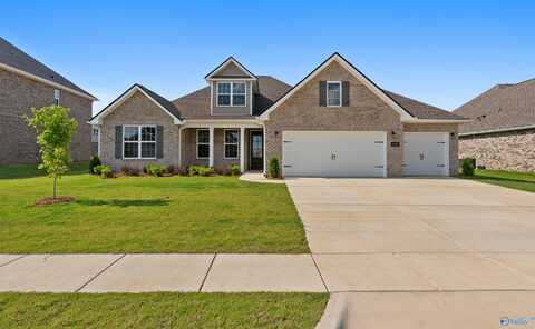 209 Kendall Farms Boulevard, Toney, AL 35773