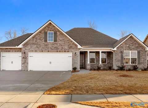 209 Kendall Farms Boulevard, Toney, AL 35773