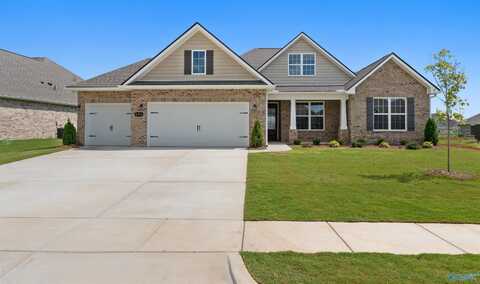 206 Kendall Farms Boulevard, Toney, AL 35773