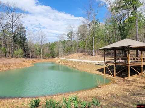 1483 CHESSMOND FERRY ROAD, Calico Rock, AR 72519
