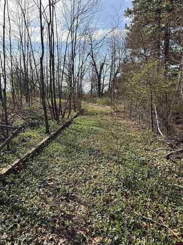 55 HWY 5 SOUTH, Mountain Home, AR 72653