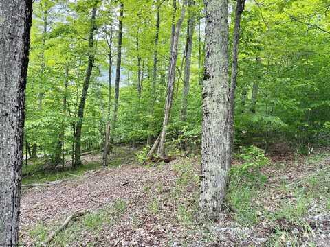 56 Winterset Drive, Davis, WV 26260