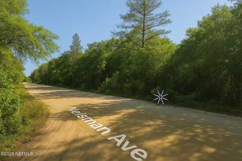 NEISMAN Avenue, Interlachen, FL 32148