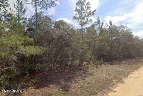 0000 BRETT Avenue, Interlachen, FL 32148