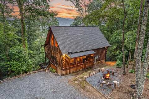 20 Dean Court, Cherry Log, GA 30522