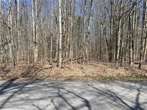 2107 N Park Lane, Roaming Shores, OH 44084