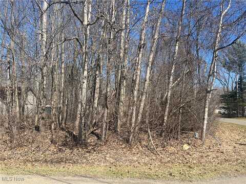 2455 Plum Creek, Roaming Shores, OH 44084