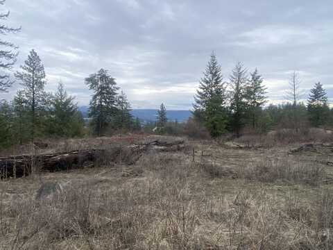 TRACT 2 COWBOYS AND ANGELS AVE, KETTLE FALLS, WA 99141