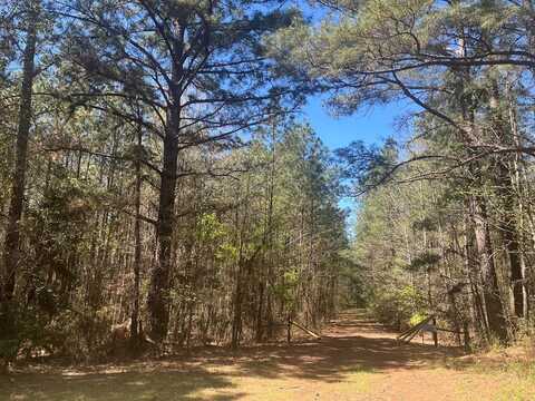 41.5 ac CR 857, Nacogdoches, TX 75964