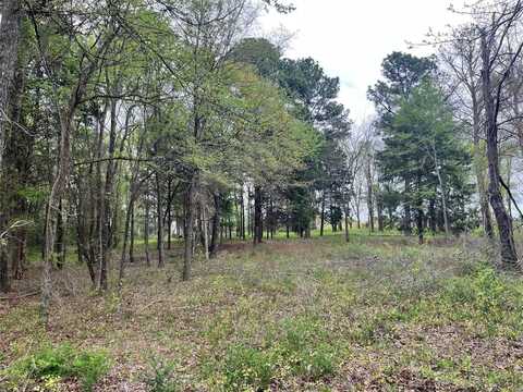 5392 Grand View Drive, Athens, TX 75752