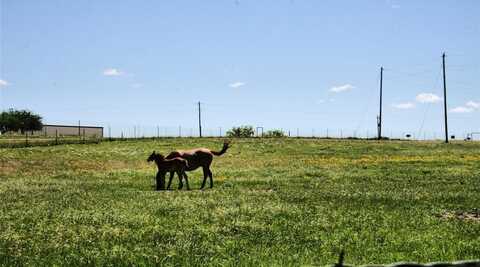 12845 Highway 6, Iredell, TX 76649