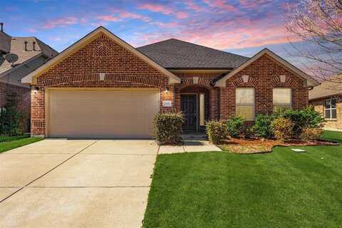 808 Goldenmist Drive, Little Elm, TX 75068