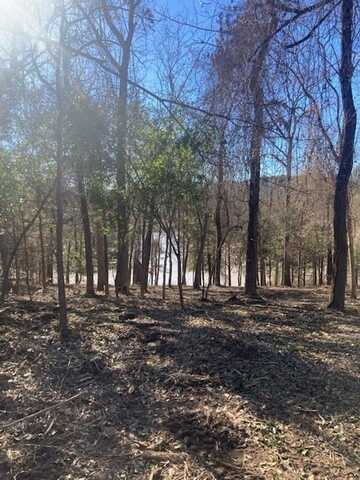 0 Quail Run Road, Tyler, TX 75709