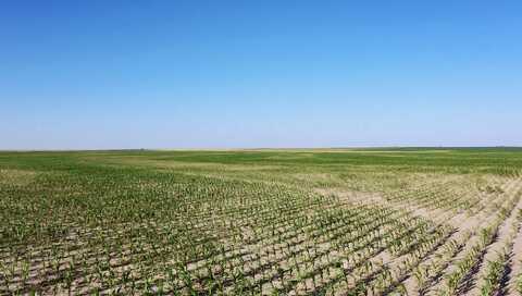 TBD Road G, Syracuse, KS 67878