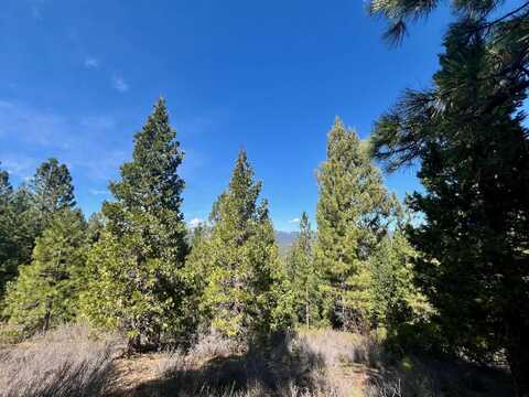 1040 Startop, Portola, CA 96122