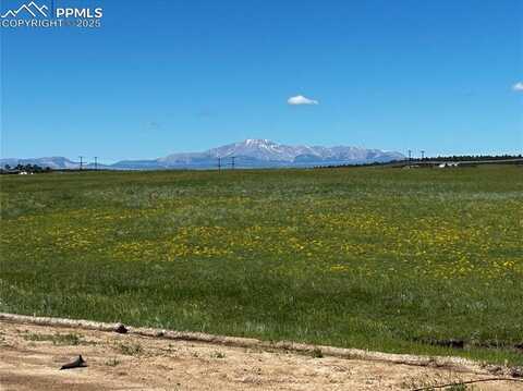 11613 Alamar Way, Colorado Springs, CO 80908