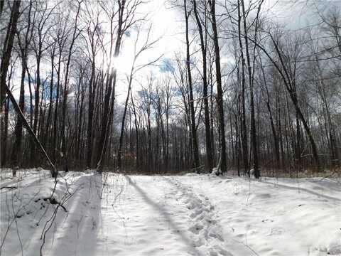 80 Acres off of Cty Rd O, Ogema, WI 54459