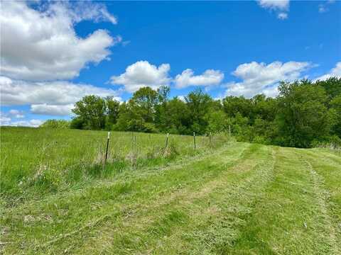 Lot 1(10 Acres) 197th Street, Stockholm, WI 54769