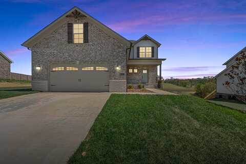 778 Denver Lane, Bowling Green, KY 42103
